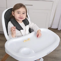 Evolur Zoodle 2-in-1 High Chair, Toddler Chair