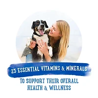 Beneful Prepared Meals Roasted Turkey Medley, Wet Dog Food 283 g, 283 g