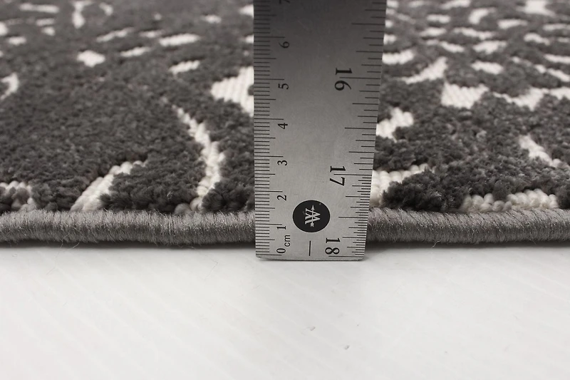 ECARPET Modern Area Rug for Dining Room, Living Room