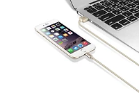 ADATA Le câble Lightning Sync & Charge argent
