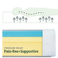 Zinus Green Tea 8 inch Memory Foam Mattress