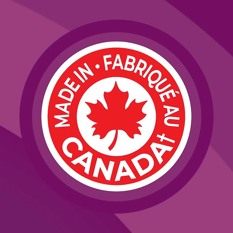 Lay’s croustilles Assaisonnées, format familial 220 g.