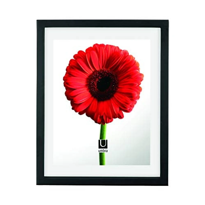Document Afficheur De Photo 11X14 / 13X16 Noir