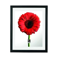 Document Afficheur De Photo 11X14 / 13X16 Noir