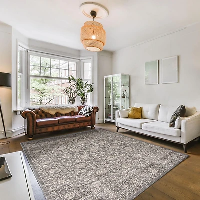 ECARPET Area Rug for Dining Room, Living Room, Bedroom Olivia Collection