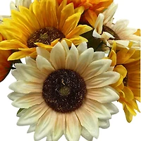 Way To Celebrate "Hello Pumpkin" Sunflowers Floral-In-A-Box