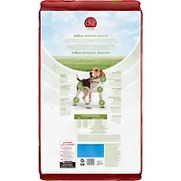 Purina ONE +Plus Soutien de Tout le Corps avec du Vrai Poulet, Nourriture Sèche pour Chiens 9.5 kg