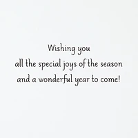 Hallmark Christmas Cards Pack, Joys of the Season (10 Cards With Envelopes)