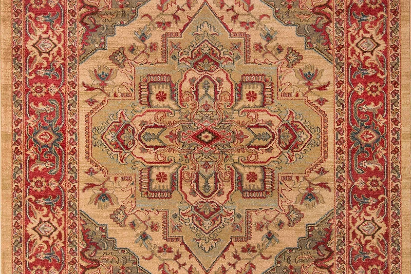 ECARPET Lux Traditional Area Rug for Living Room, Bedroom, Dining Entrance, Hallway and More.