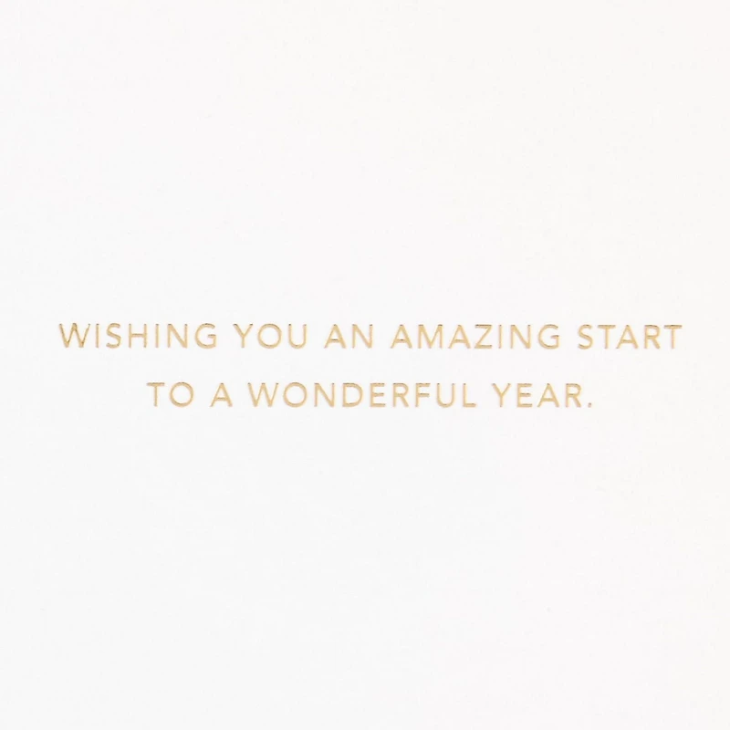 Hallmark Signature Birthday Card (Wonderful Year)