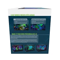 GloFish Kit d'aquarium parfait pour débutant 5 gallons