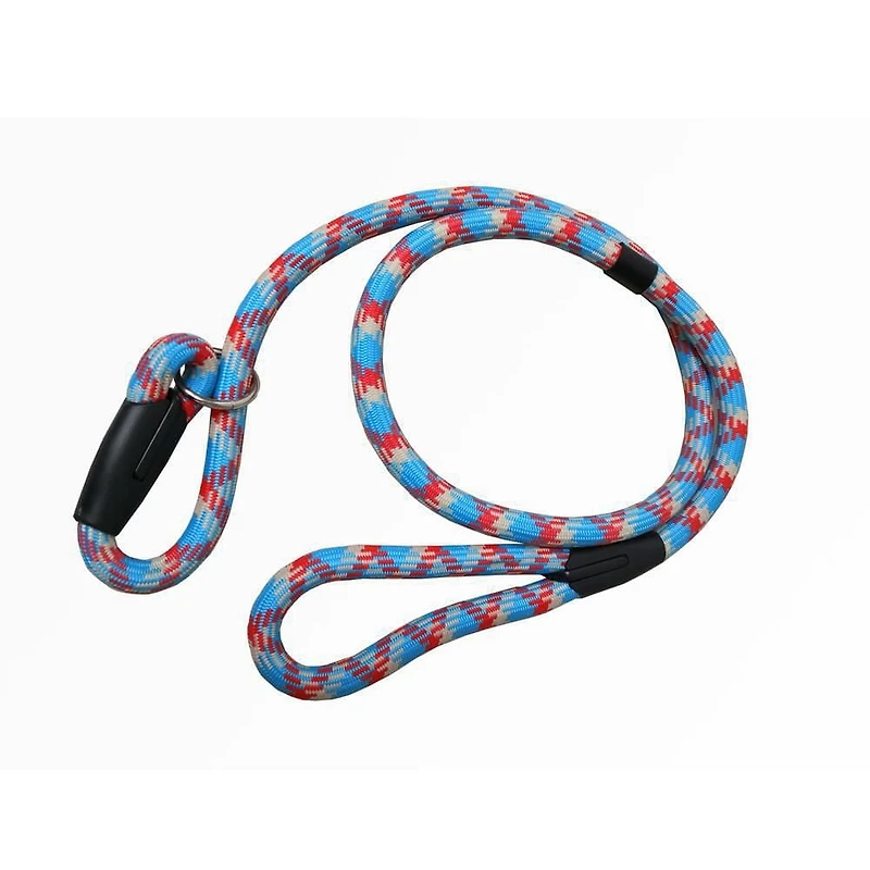 Cool Runners Blue and Berry Design Leash
