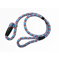 Cool Runners bleu et Berry Design laisse