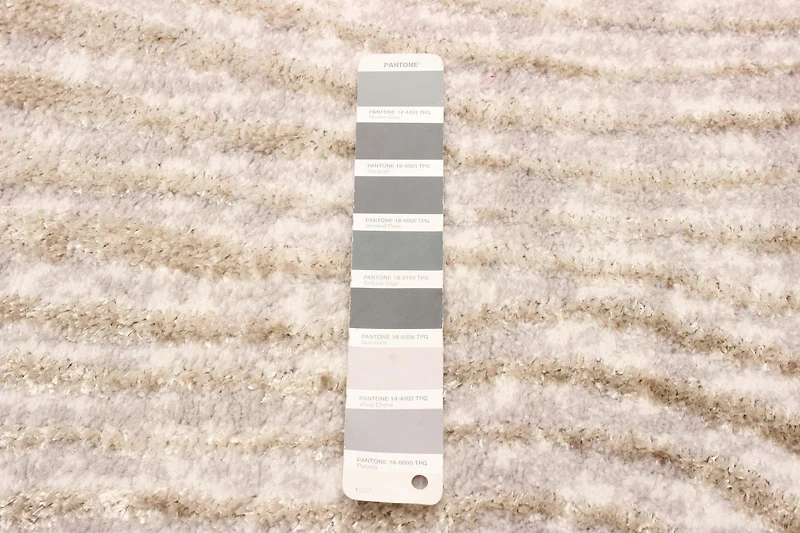 ECARPET Kamala Contemporain/Moderne Tapis pour salon, chambre, salle à manger, entrée, couloir et plus encore.