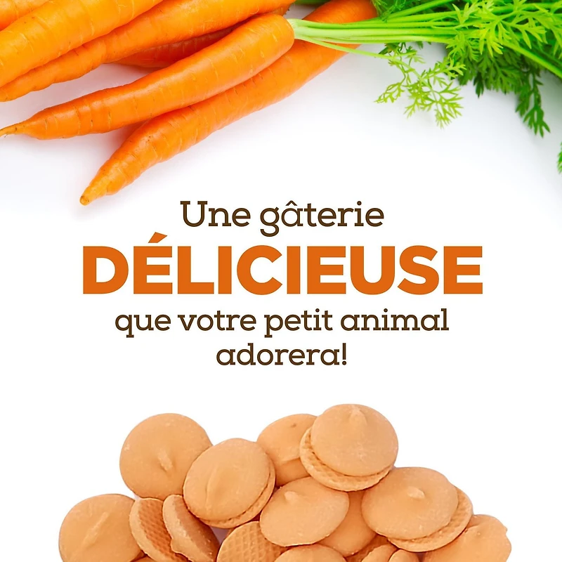 Régals Living World pour petits animaux, pastilles, arôme de carotte, 75 G 75 g (2.6 oz)arôme de carotte