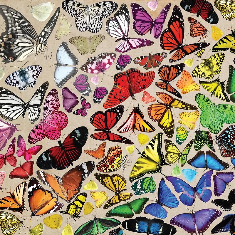 Buffalo Games - Large Pieces - Butterfly Chroma - 300 Piece Jigsaw Puzzle
