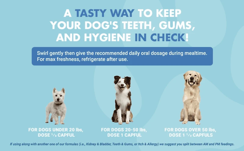Liquid-Vet® Supplément pour la santé des dents et gencives des chiens, saveur rôti de bœuf, 16 oz liq 16 fois liquides / 474 ml