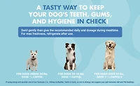 Liquid-Vet® Supplément pour la santé des dents et gencives des chiens, saveur rôti de bœuf, 16 oz liq 16 fois liquides / 474 ml