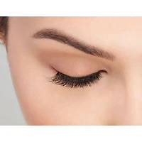 Ardell® Fashion Lashes #120 Demi Noir