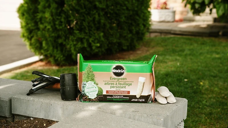 Miracle-Gro® Evergreen Plant Food Spikes 12-6-12