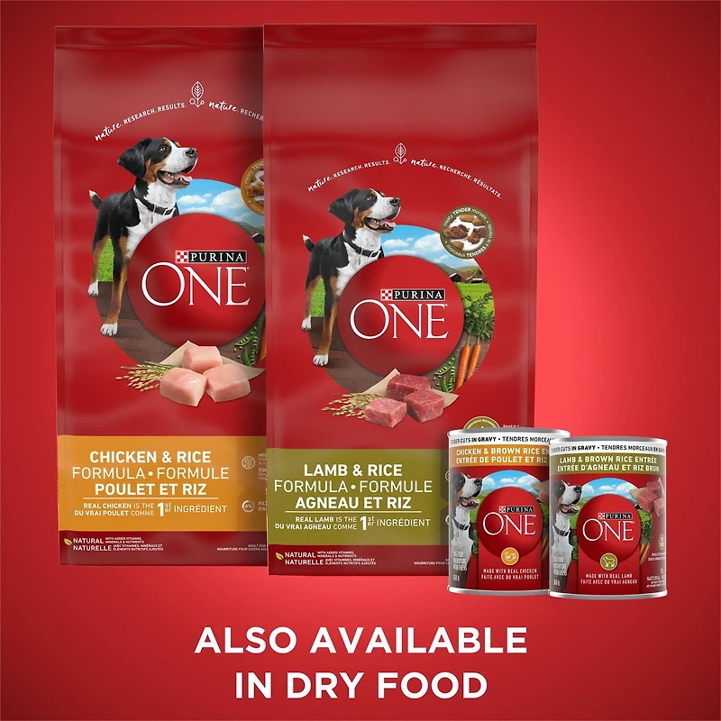 Purina ONE SmartBlend Moulue Classique Entrée de Boeuf et Riz Brun, Nourriture Humide pour Chiens 368 g 368g