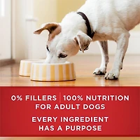 Purina ONE Classic Ground Chicken & Brown Rice Entrée, Wet Dog Food 368 g, 368 g