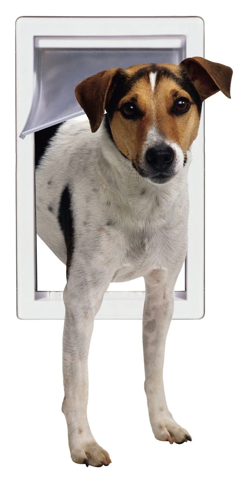 Perfect Pet Medium Plastic Pet Dog Door, 7" x 11 1/4" Pet Door