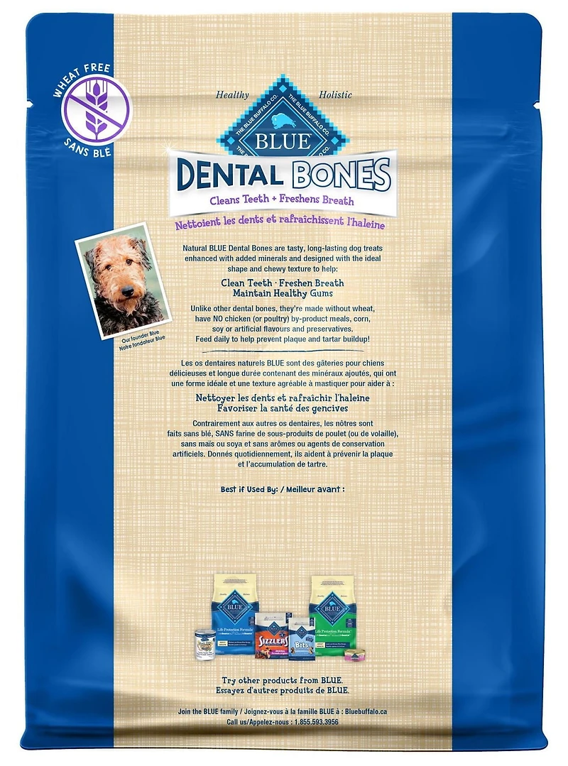 BLUE Bones os dentaires pour chiens grand
