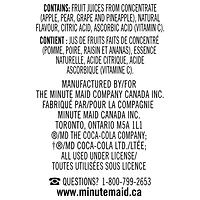 Minute Maid Fruit Blend Juice 200mL carton 8 pack
