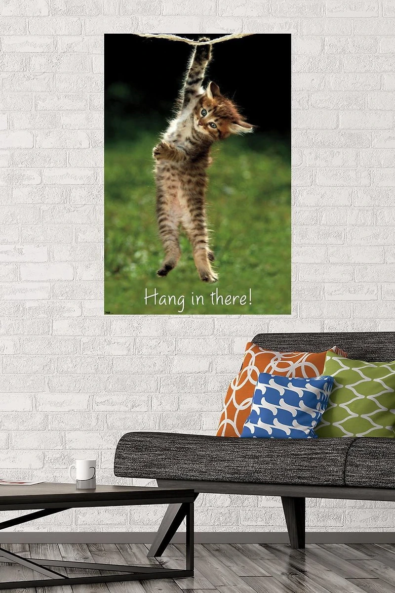 Famous Kitten Hang In There Poster Wall Poster