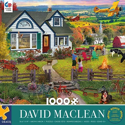 Ceaco 1000pc puzzle "The Fly By"