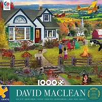 Ceaco 1000pc puzzle "The Fly By"