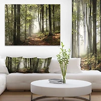 Designart Forêt verte d'automne avec des rayons de soleil Art mural sur toile