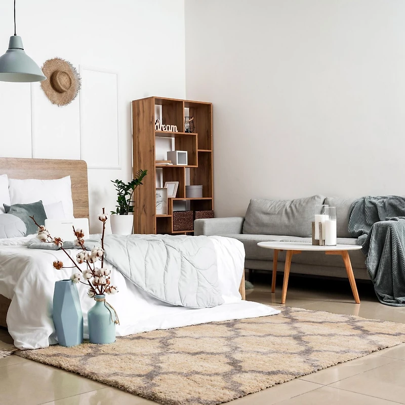 ECARPET Trellis Frieze Area Rug Fluffy Carpet for Bedroom, Ultra Soft & Plush Annica Collection
