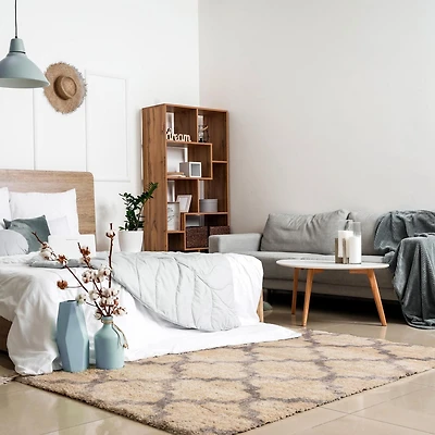 ECARPET Trellis Frieze Area Rug Fluffy Carpet for Bedroom, Ultra Soft & Plush Annica Collection