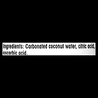 Thirsty Buddha Sparkling Coconut Water