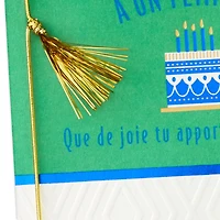 Hallmark Birthday Card for Adult Grandson (So Much Joy)