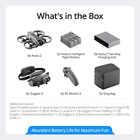 DJI Avata 2 Fly More Combo (Trois Batteries)