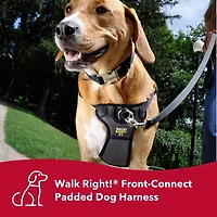 Coastal Pet Products Large Black Walk Right! Front-Connect Padded Dog Harness, Large Dog Harness