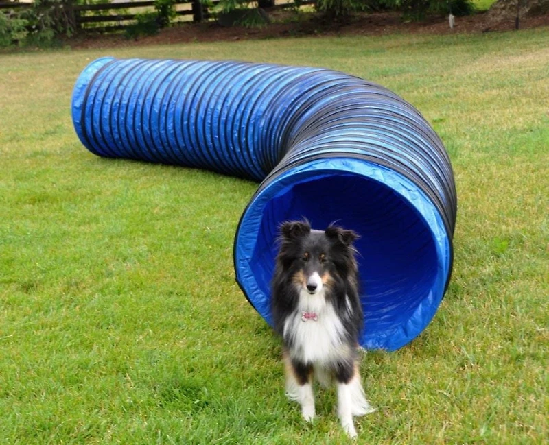 Handlers Choice Agility Tunnel