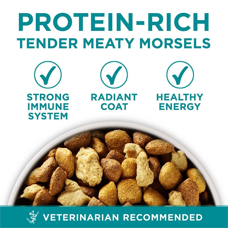 Purina ONE SmartBlend Nourriture pour Chiens Grandes Races Poulet, Nourriture Sèche pour Chiens