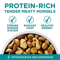 Purina ONE SmartBlend Nourriture pour Chiens Grandes Races Poulet, Nourriture Sèche pour Chiens