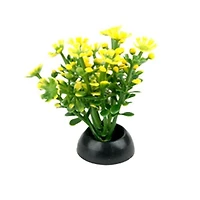 Penn Plax Aqua-Plantes D'Aquarium Décorations