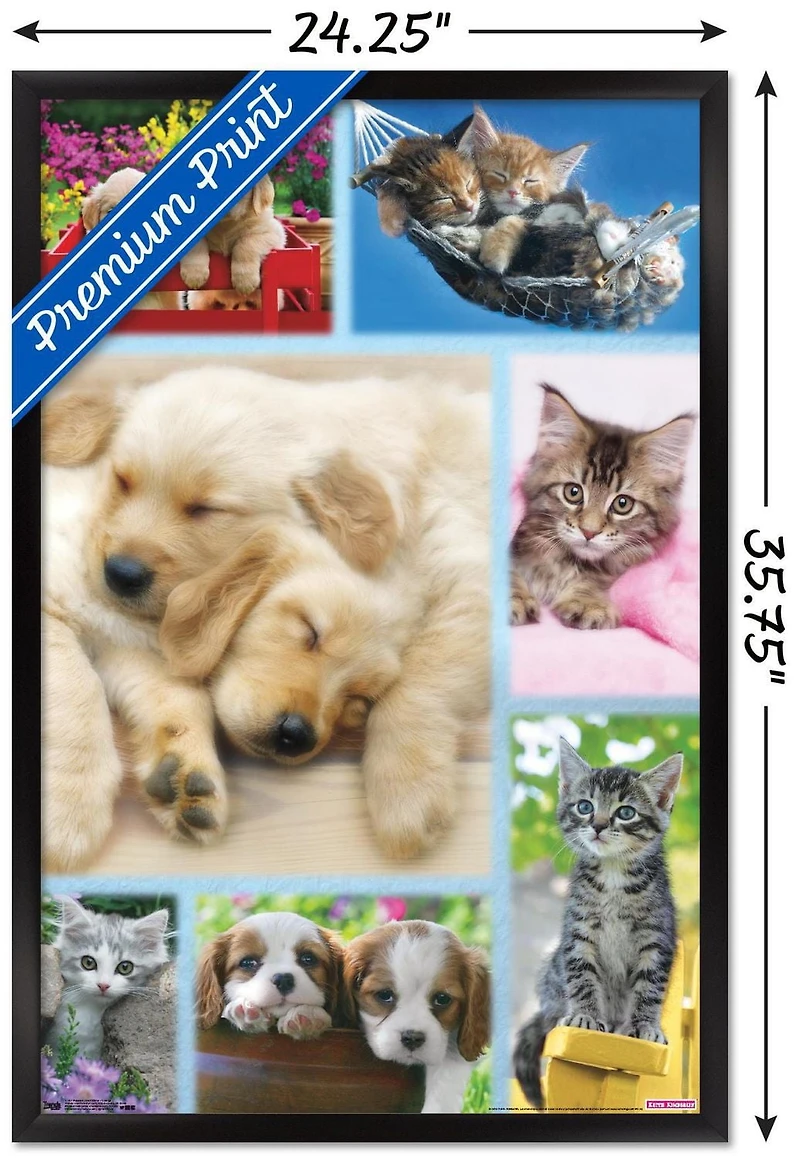Keith Kimberlin - Collage de chiots et de chatons
