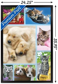 Keith Kimberlin - Collage de chiots et de chatons