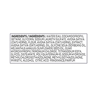 Equate Daily Moisture Body Wash with Oatmeal, 532 mL, 532 mL
