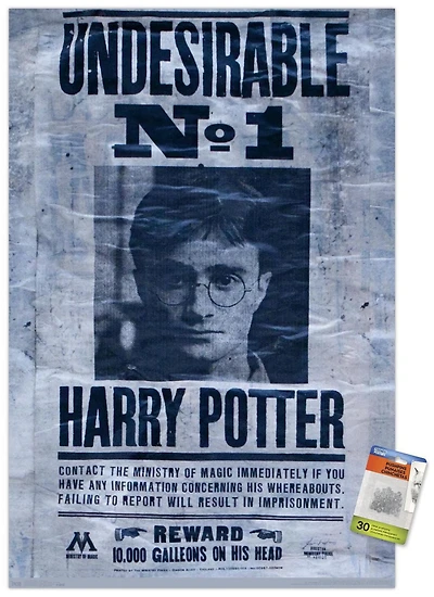 The Wizarding World: Harry Potter - Undesirable Wall Poster, 22.375" x 34"