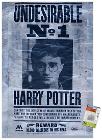 The Wizarding World: Harry Potter - Undesirable Wall Poster, 22.375" x 34"
