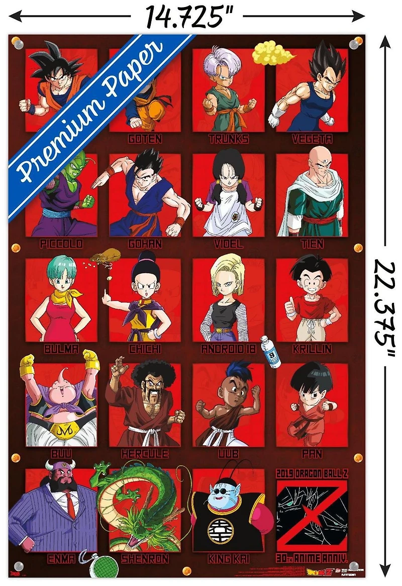 Dragon Ball Z - Anniversary Wall Poster