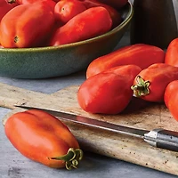 Burpee San Marzano Tomato, Plant Seeds for Home Garden